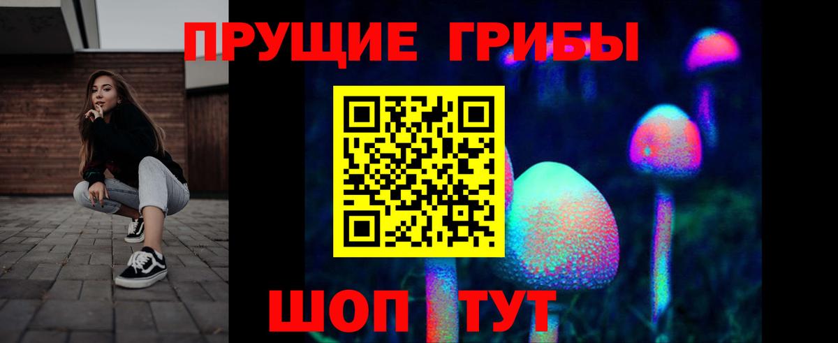 Галлюциногенные грибы Magic Shrooms Свободный